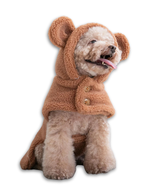 Teddy-Bear Dog Cloak