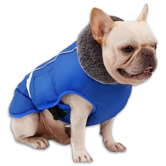 CosyGuard Dog Jacket